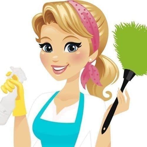 פסק דין...   עוזרת בית ביקשה שכר ב