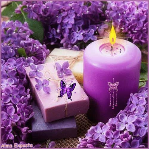 עובד חייב ...לקבל מנוחה שבועית בת 36 שעות רצופות    שלילת הזכות למנוחה שבועית היא עבירה ... עם קנסות גבוהים