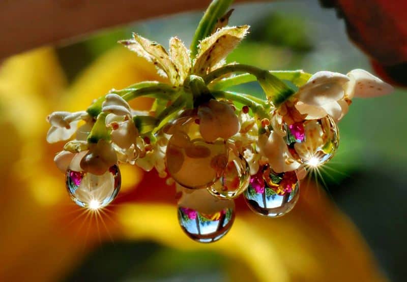 פדיון חופשה במהלך העבודה ...פסק דין... חדשני... של בית הדין הארצי...