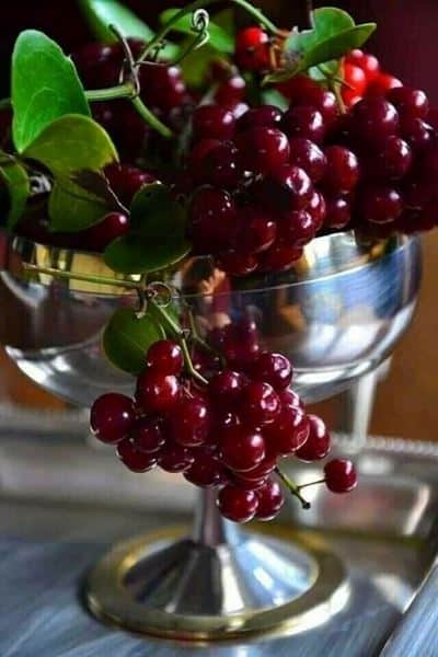 עובדים במוצ