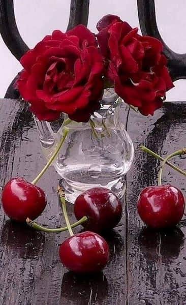 פסיקה..... התפטרות בדין מפוטר בשל הפרת זכות קוגנטית, גם אם העובד אינו מתריע בפני המעסיק