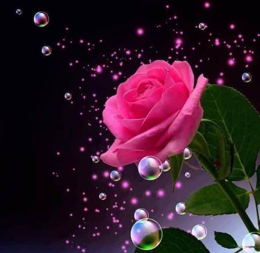 מחשבון שכר ....ברוטו /נטו....    בדוק תלוש שלך !!!!