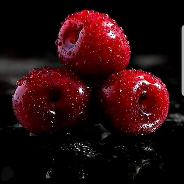 יום בחירה של חופשה מי זכאי ומהם ימי הבחירה בישראל