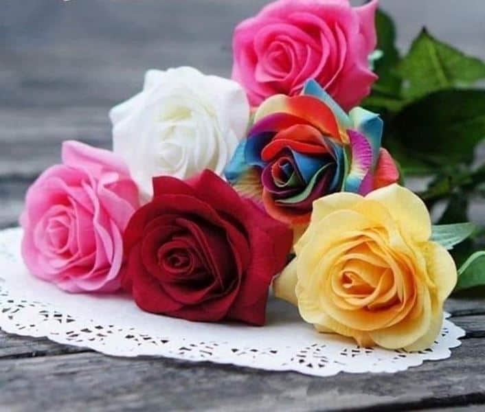 חגים והכנת שכר – מה שלא ידעתם