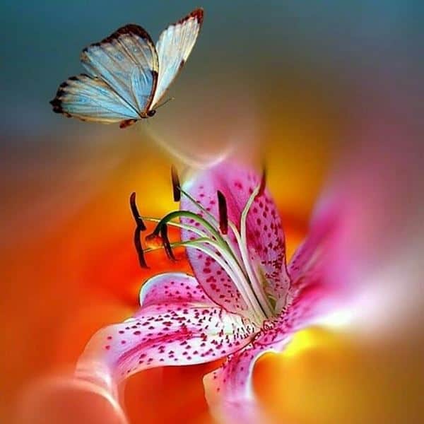 האם ידעת ?   יש רכיבי שכר הפטורים מתשלום דמי ביטוח לאומי