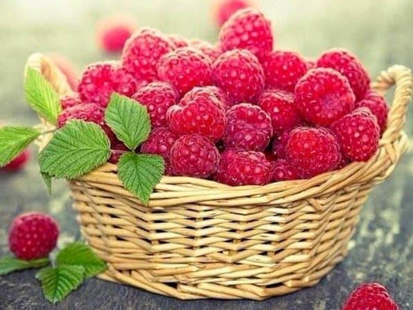 דמי הבראה לשנת 2017:             למי מגיע וכיצד מחשבים